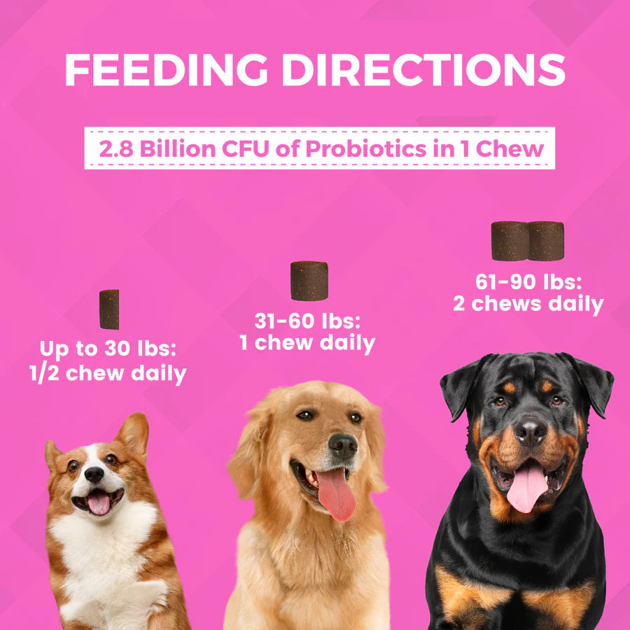 PRE & PROBIOTICS SOFT CHEW SUPPLEMENTS