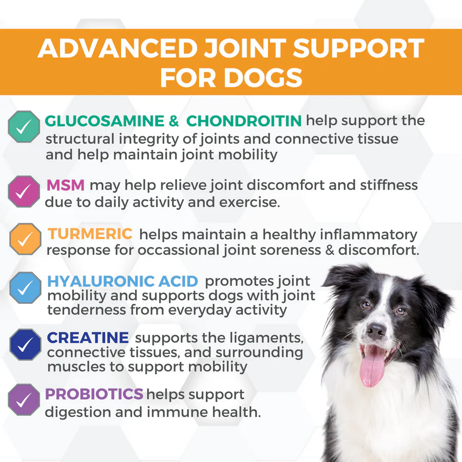 HIP & JOINT SOFT CHEW SUPPLEMENTS