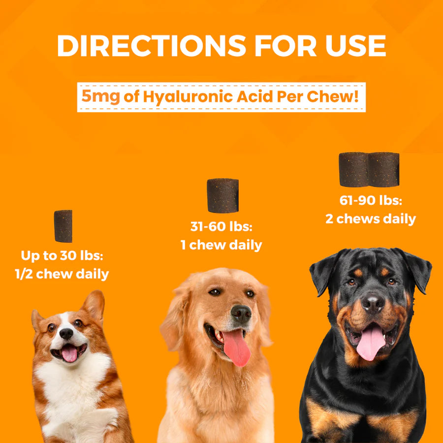 HIP & JOINT SOFT CHEW SUPPLEMENTS