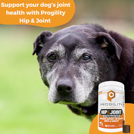 HIP & JOINT SOFT CHEW SUPPLEMENTS
