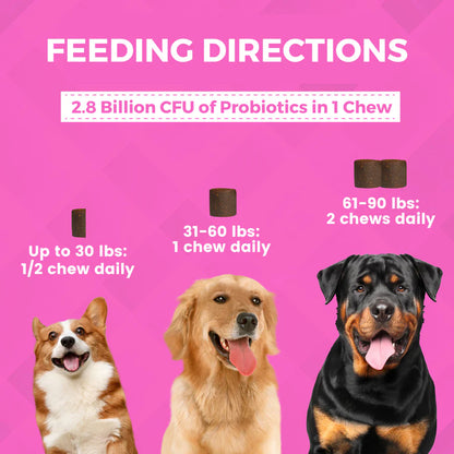 PRE & PROBIOTICS SOFT CHEW SUPPLEMENTS