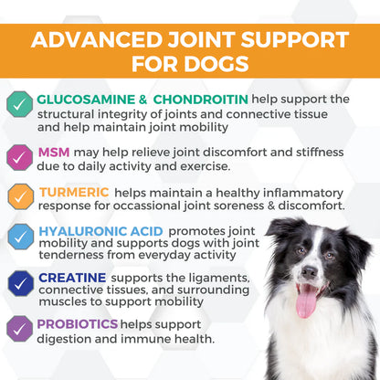 HIP & JOINT SOFT CHEW SUPPLEMENTS