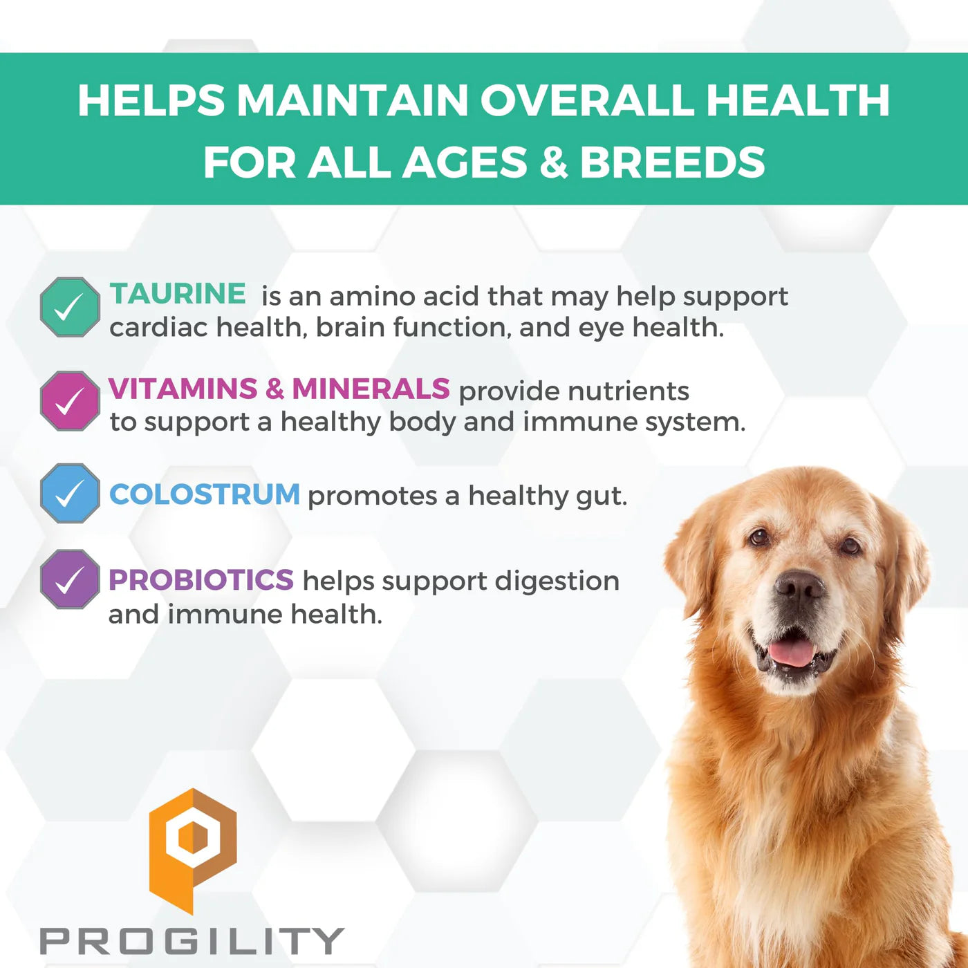 11-IN-1 MULTIVITAMIN SOFT CHEWS