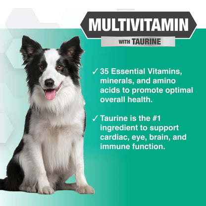 11-IN-1 MULTIVITAMIN SOFT CHEWS